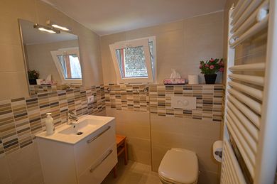 Bathroom in the outbuilding