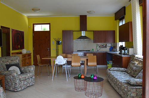 Living room with kitchen area and dining area